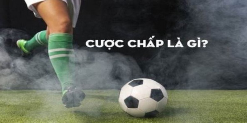 cá cược bóng đá