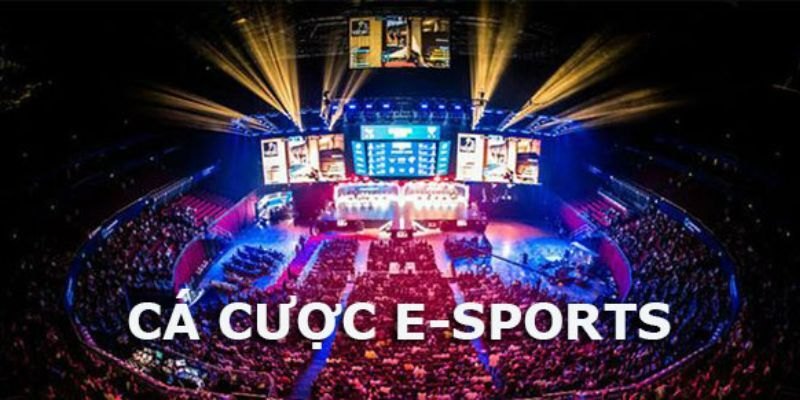 cá cược Esports